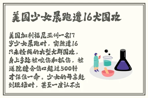 国产精品毛片